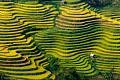 Ha Giang